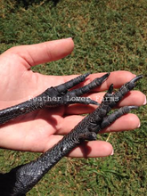 Feather Lover Farms Ayam Cemani Feet