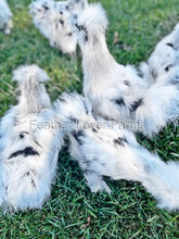 Paint Silkie Chickens For Sale From Feather Lover Farms