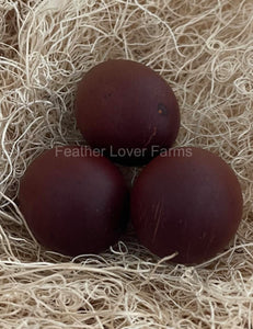 very dark french black copper marans eggs from feather lover farms