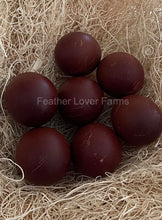 very dark french black copper marans eggs from feather lover farms