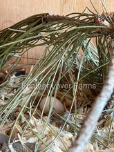 Mearns / Montezuma Quail eggs For Sale at Feather Lover Farms