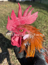 Feather Lover Farms Laughing Chicken Rooster 