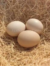 Greenfire Farms Ayam Cemani Eggs
